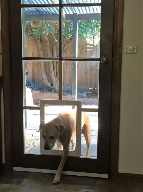 doggie dior|where to buy doggie doors.